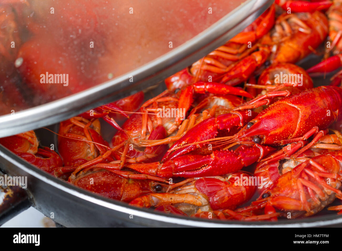 Crayfish in the pot and boiling water preparation Stock Photo