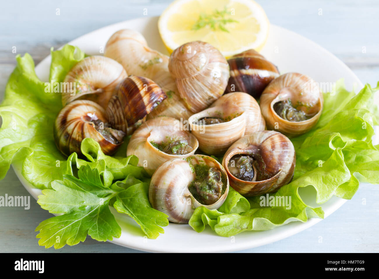 Cooked snails hires stock photography and images Alamy