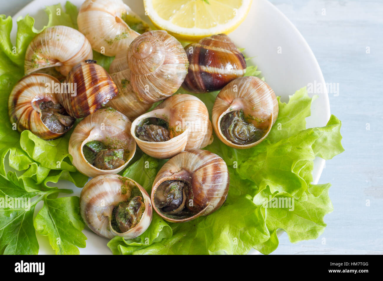 Garlic snail hires stock photography and images Alamy