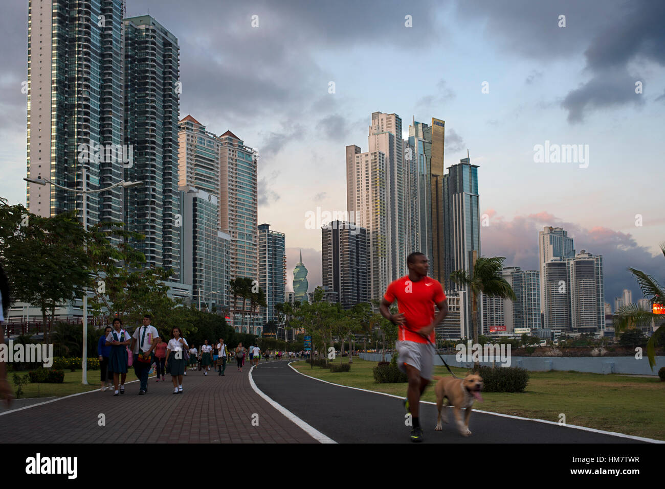 Man running with dog in Balboa Avenue skyline skyscraper road seawall new. Skyline, Panama City, Panama, Central America. Cinta Costera Pacific Ocean  Stock Photo