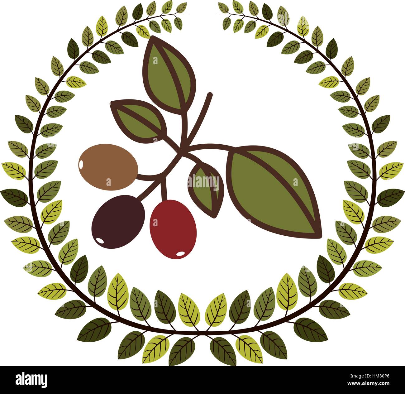 crown of leaves with coffee tree branch vector illustration Stock ...