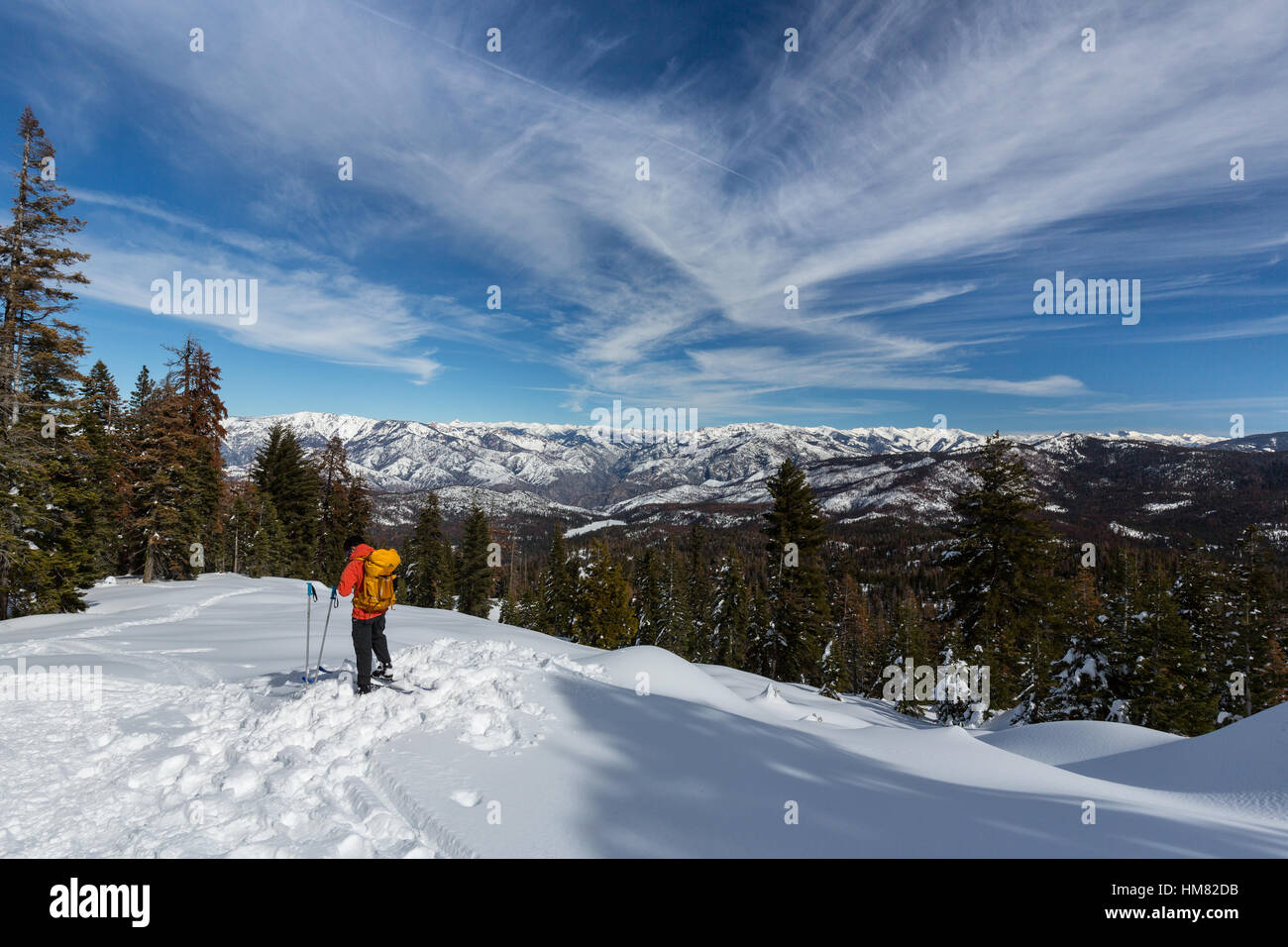 A backcountry skier admires the vast view from Panoramic Point in the winer snow of Kings Canyon National Park. Stock Photo