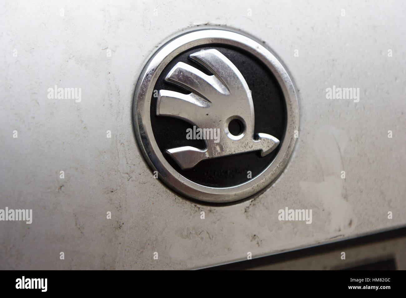 The logo of Skoda brand on a Skoda Octavia car Stock Photo