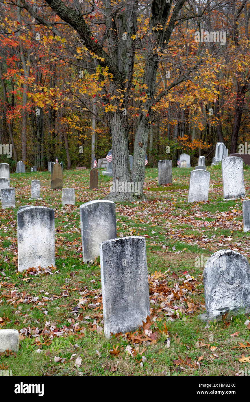 Old cemetery full of weathered headstones and old tombstones with fall trees and woods background, autumn graveyard, copy space. Stock Photo