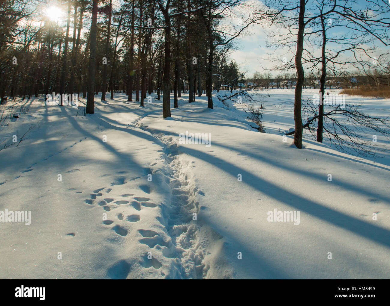 Jayanti river hi-res stock photography and images - Alamy