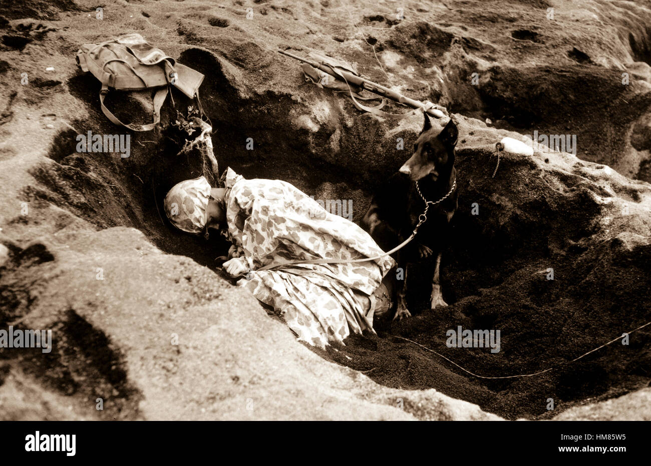Pfc. Rez P. Hester, 7th War Dog Platoon, 25th Regt., takes a nap while Butch, his war dog, stands guard.  Iwo Jima, February 1945.  S.Sgt. M. Kauffman.  (Marine Corps) Exact Date Shot Unknown NARA FILE #:  127-N-110104 WAR & CONFLICT BOOK #:  882 Stock Photo