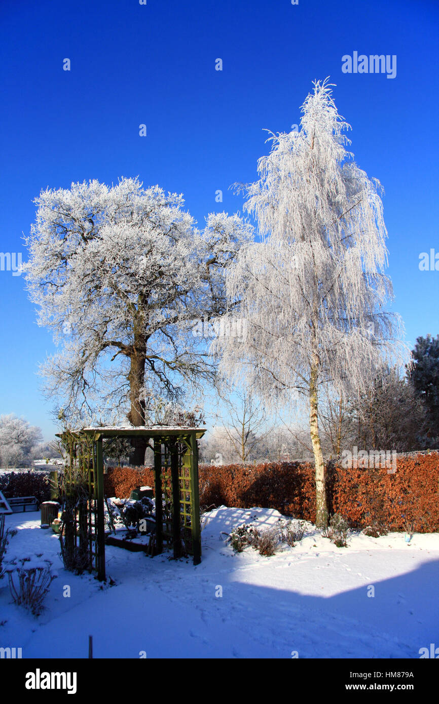 Domestic country garden in wintertime after a heavy hoar frost with snow on the ground Stock Photo