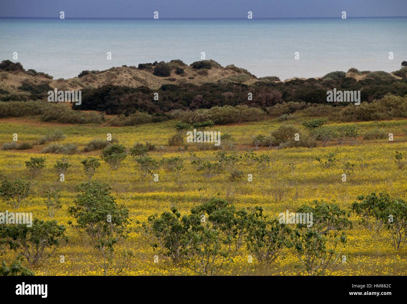 Agricultural landscape east of Mostaganem, Corniche du Dahra, Algeria. Stock Photo