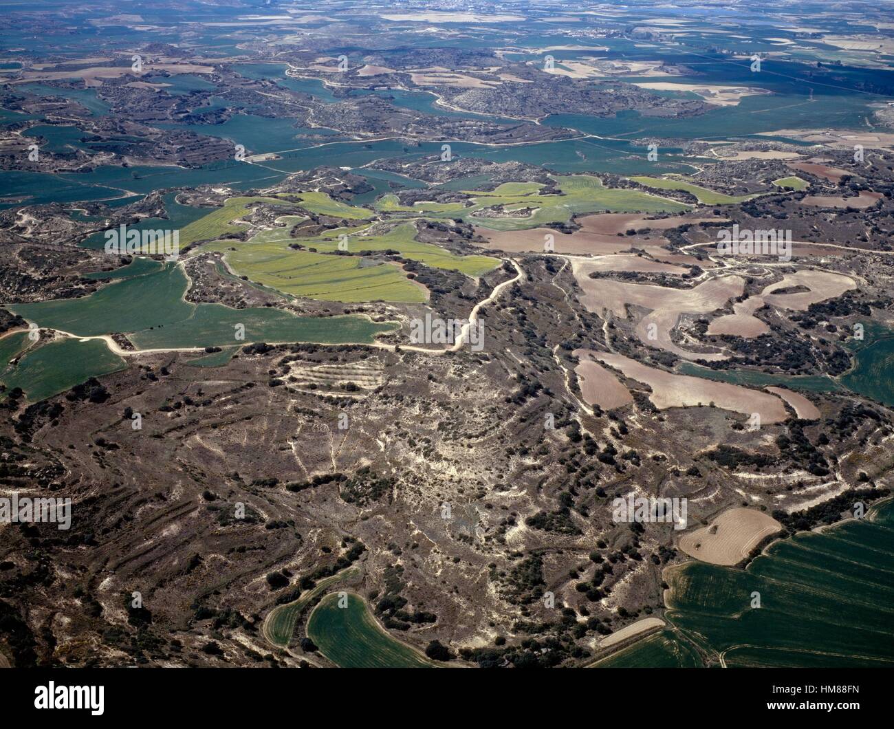 Fields in Olite, aerial view, Navarra, Spain. Stock Photo