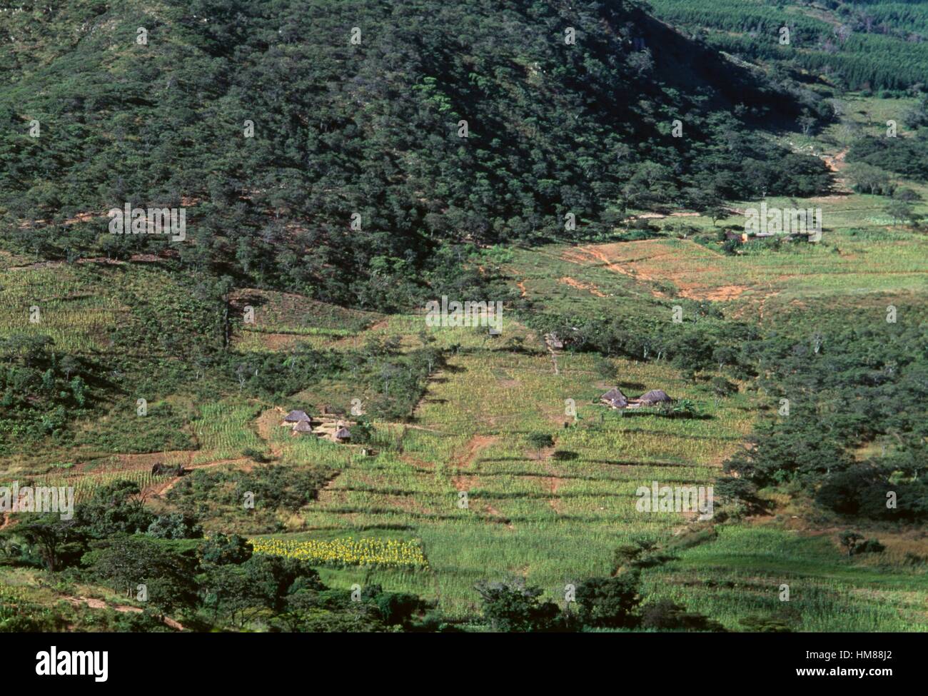 Crops and traditional houses, Chimanimani National Park, Zimbabwe Stock