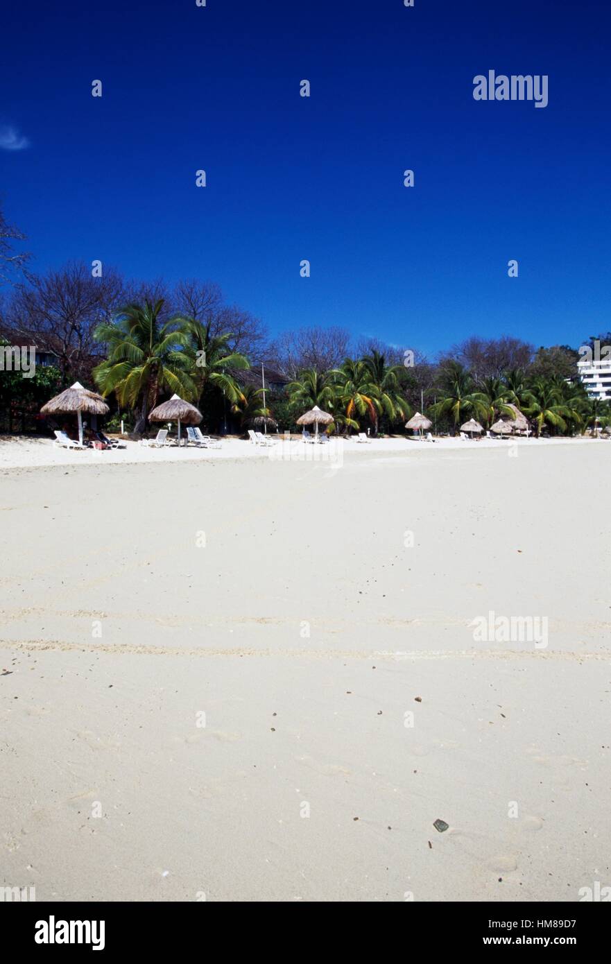 Beach with palm trees and umbrellas on Contadora island, Panama. Stock Photo