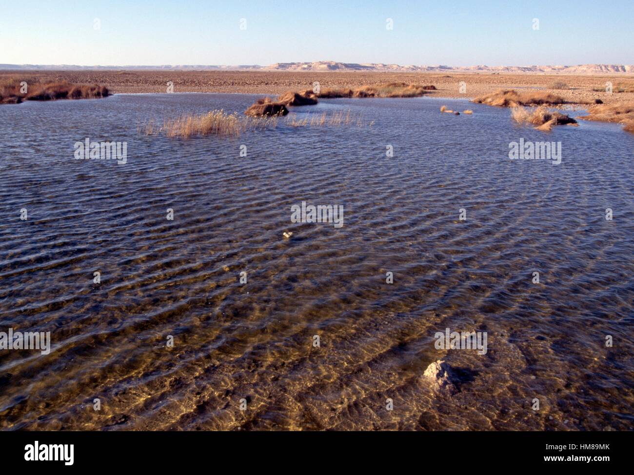 Salt lake, Siwa oasis, Matrouh governorate, Egypt Stock Photo - Alamy