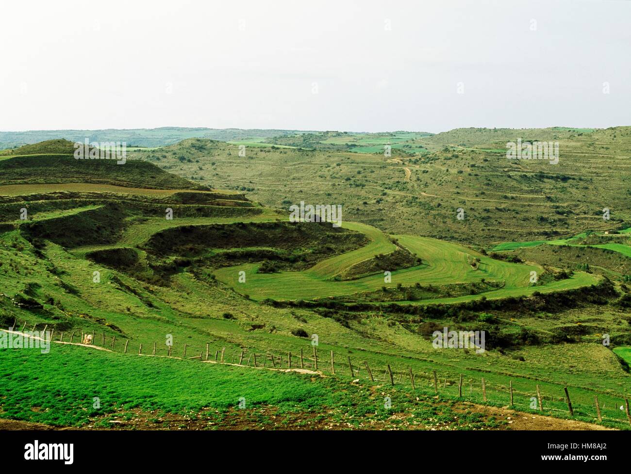 Landscape with terraces around the Monastery of Santa Maria, Ujue, Navarra, Spain. Stock Photo