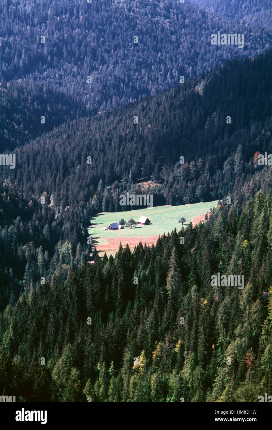Cabins In Filza Valley Julian Alps Friuli Venezia Giulia Italy