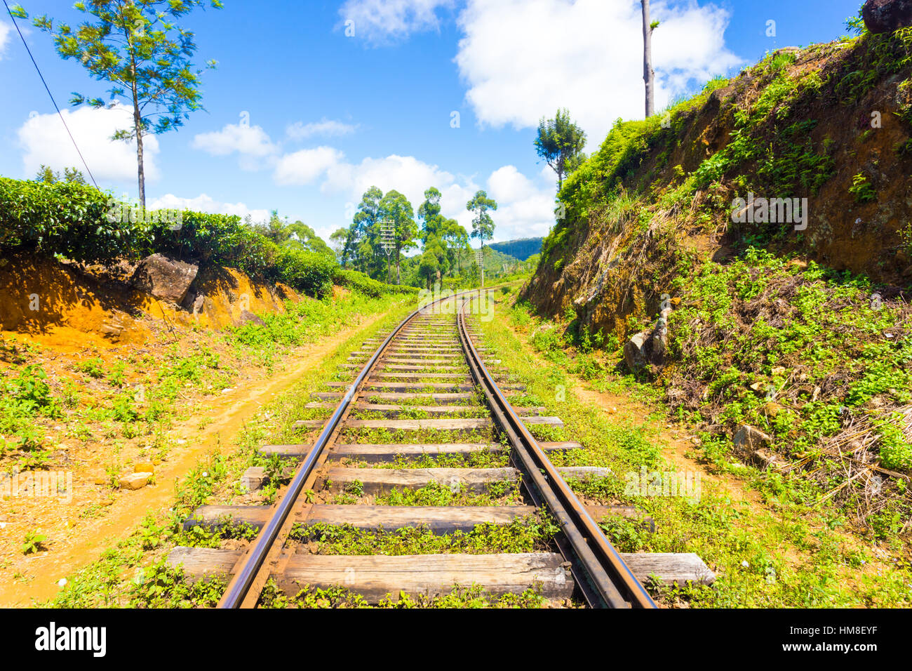 Sri Lanka Railways train tracks extend to vanishing point running thru tea plantations in hill country on a blue sky in Haputale Stock Photo