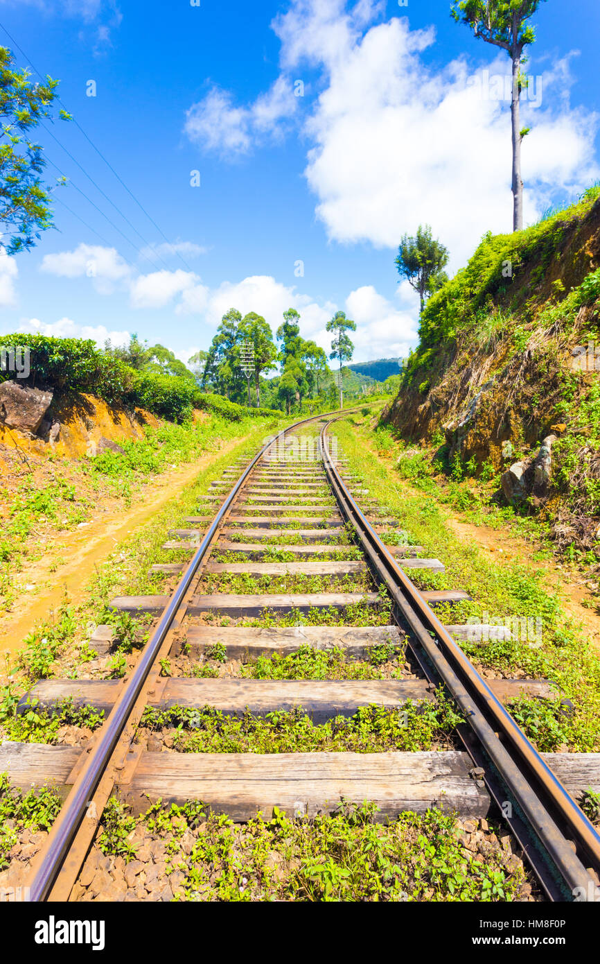 Sri Lanka Railways train tracks extend to vanishing point running thru tea plantations in hill country on a blue sky day in Hapu Stock Photo