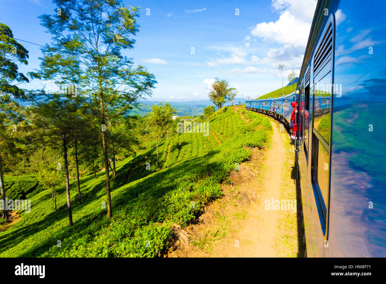 Tea plantation view and neat green tea plants seen from side exterior of passenger train curving ahead in highlands of Sri Lanka Stock Photo