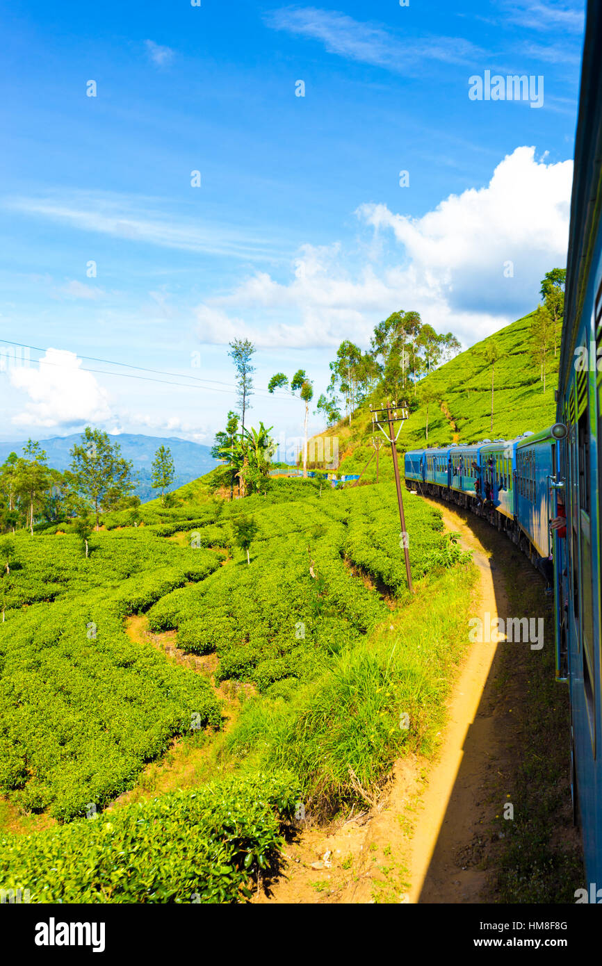 Tea plantation view and neat green tea plants seen from side exterior of passenger train curving ahead in hill country, Sri Lank Stock Photo