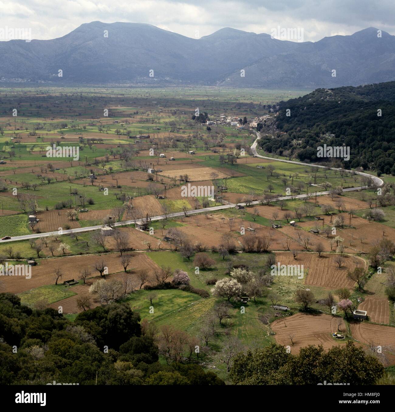 Cultivated fields on the Lasithi plateau, Crete, Greece Stock Photo - Alamy