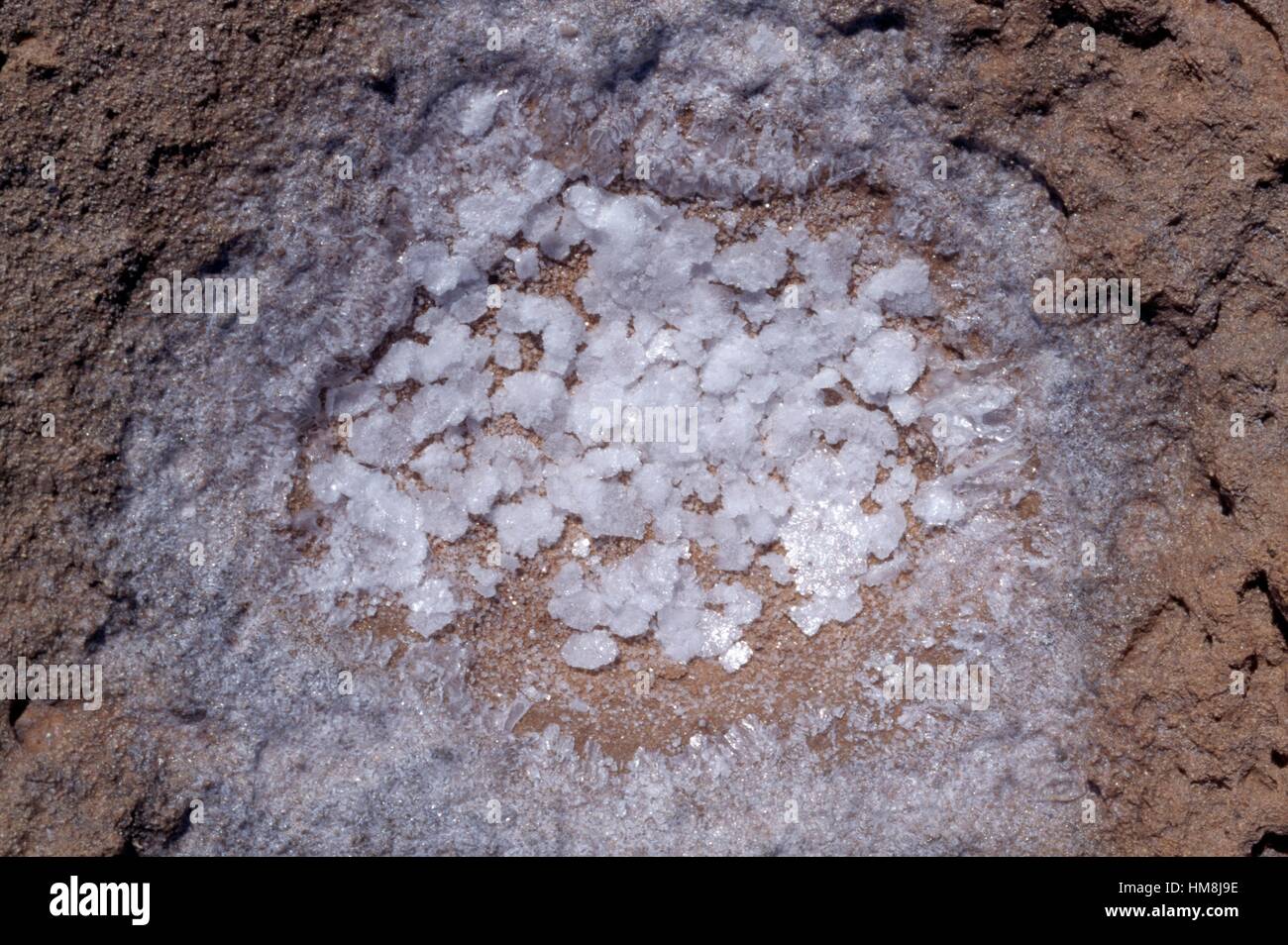 Salt crystals, Itanos, Crete, Greece. Stock Photo