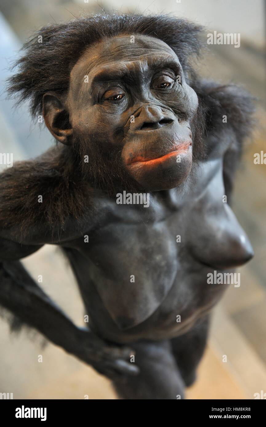 australopithecus reconstruction