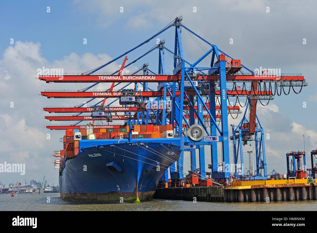 container ship Palena in the Port of Hamburg, Germany, Europe. Stock Photo