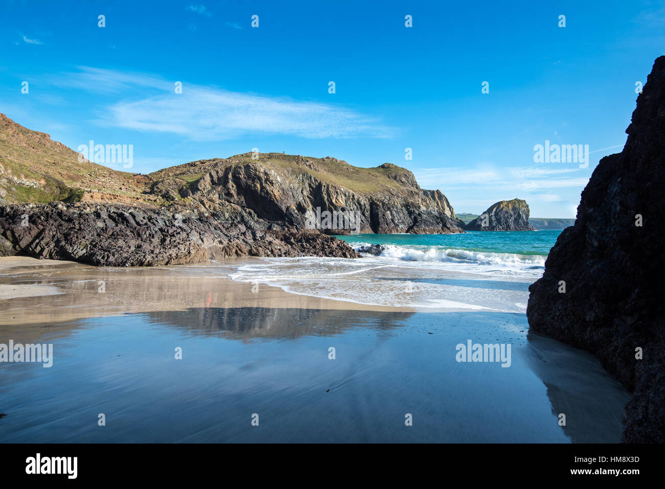 The beach at Kynance Cove, Cornwall, UK Stock Photo