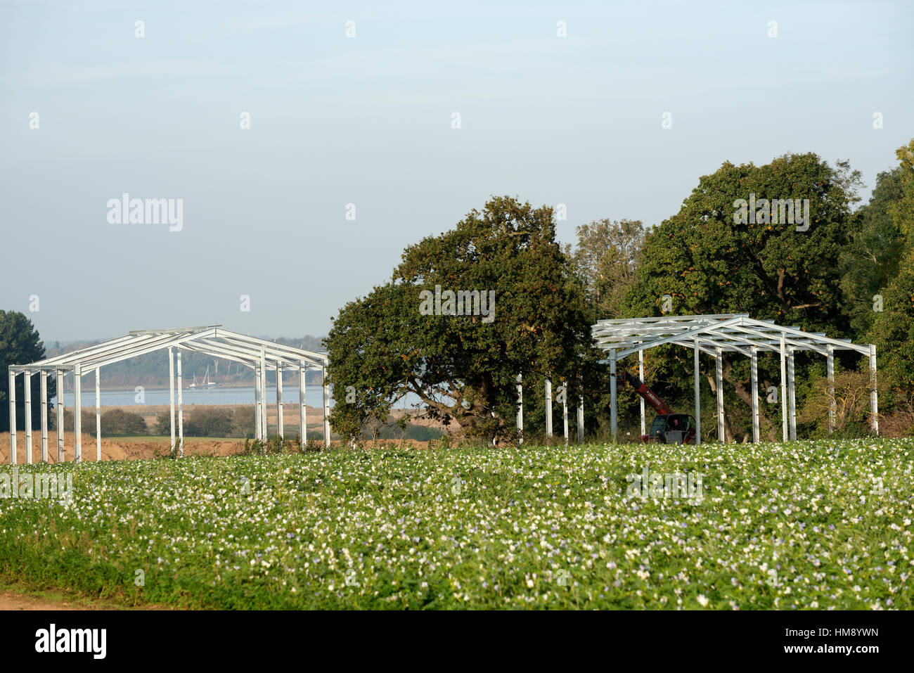 Agricultural buildings under construction, Iken, Suffolk, UK Stock