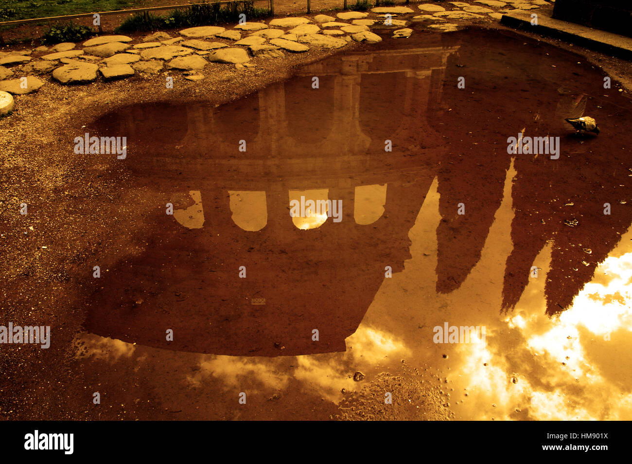 Roma, Italia - Il Colosseo riflesso in una pozzanghera Stock Photo