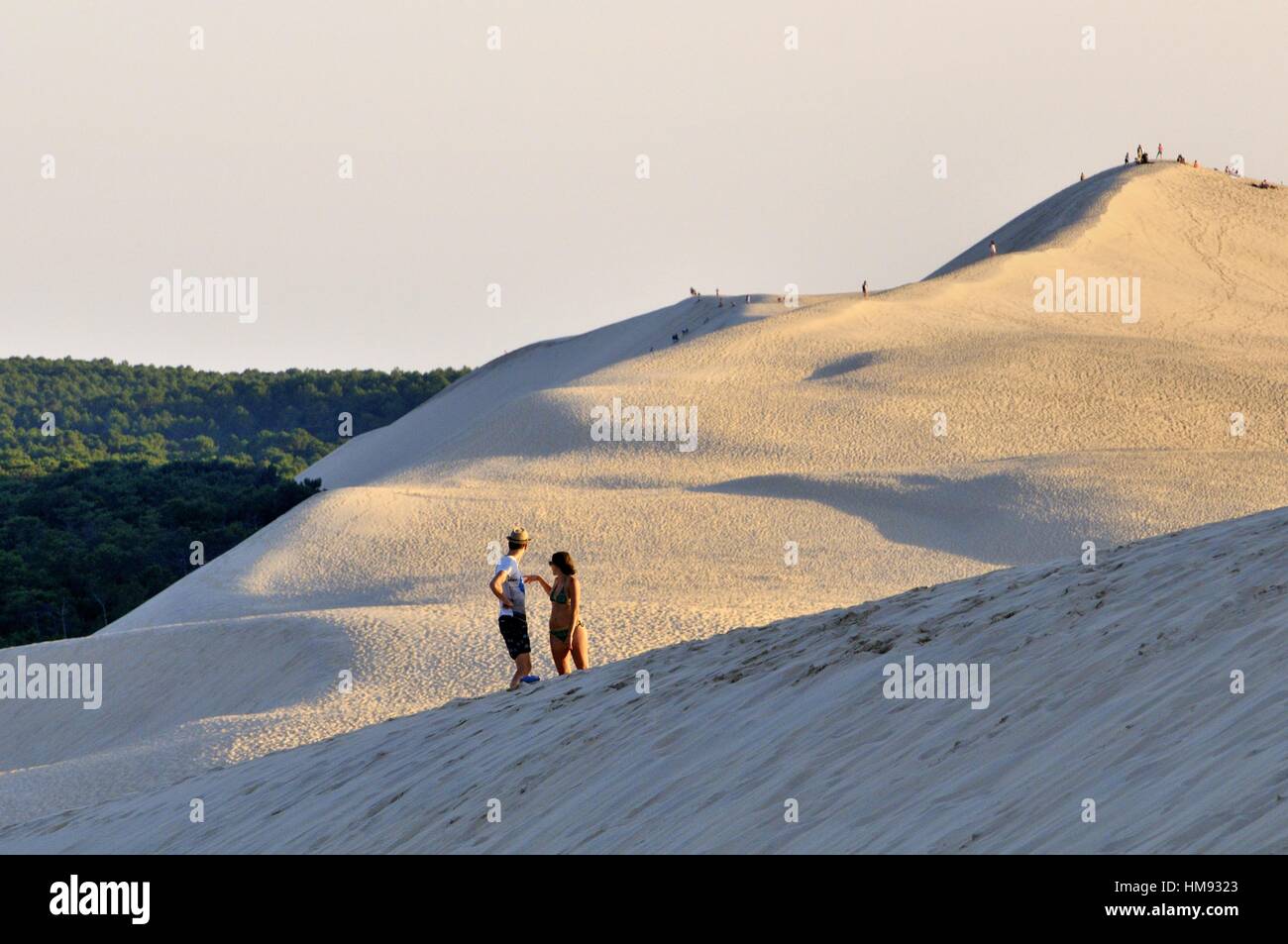 Dune of Pilat or Pyla (French Dune du Pilat, official name), is the