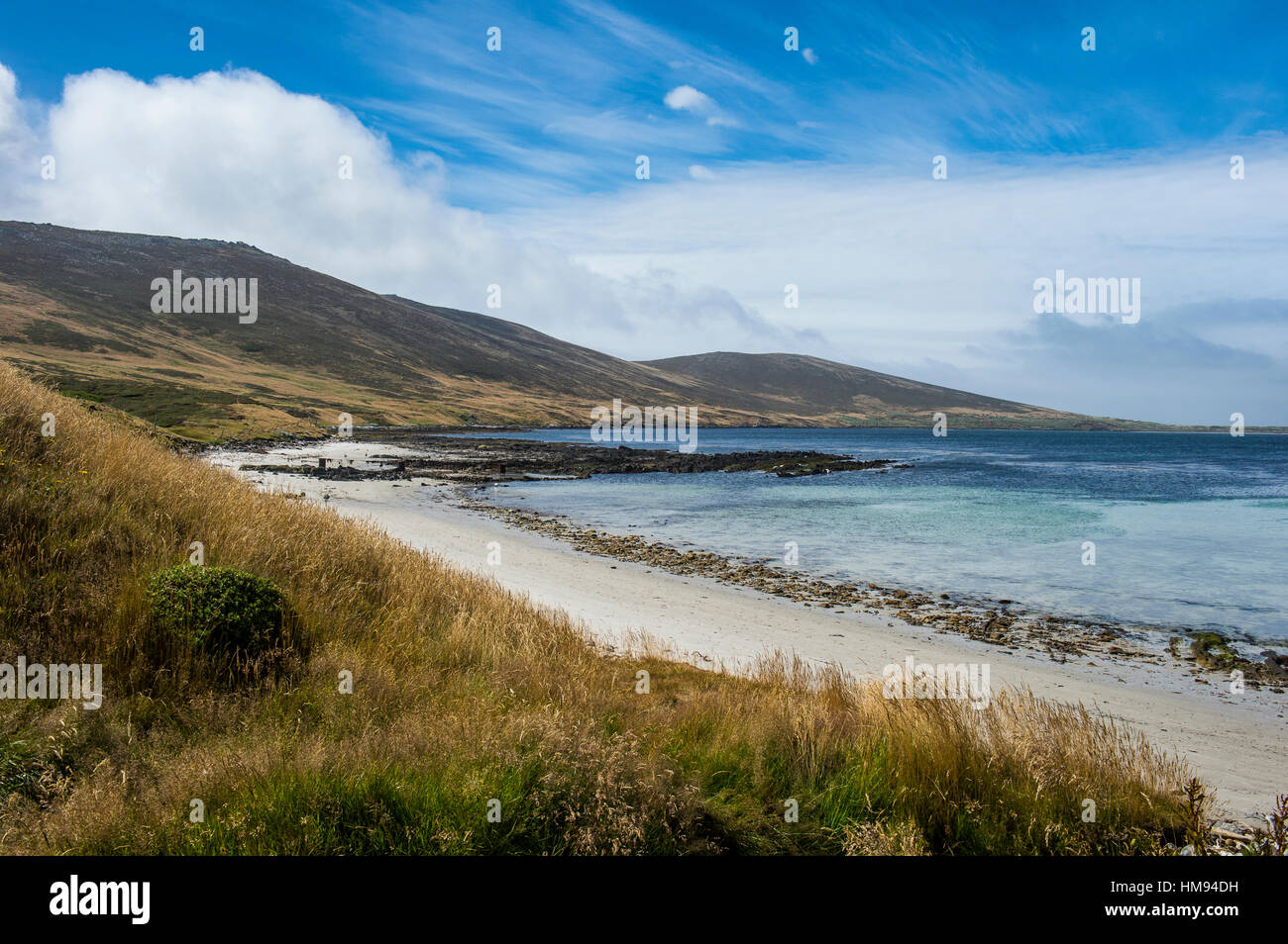 View over Carcass Island, Falkland Islands, South America Stock Photo