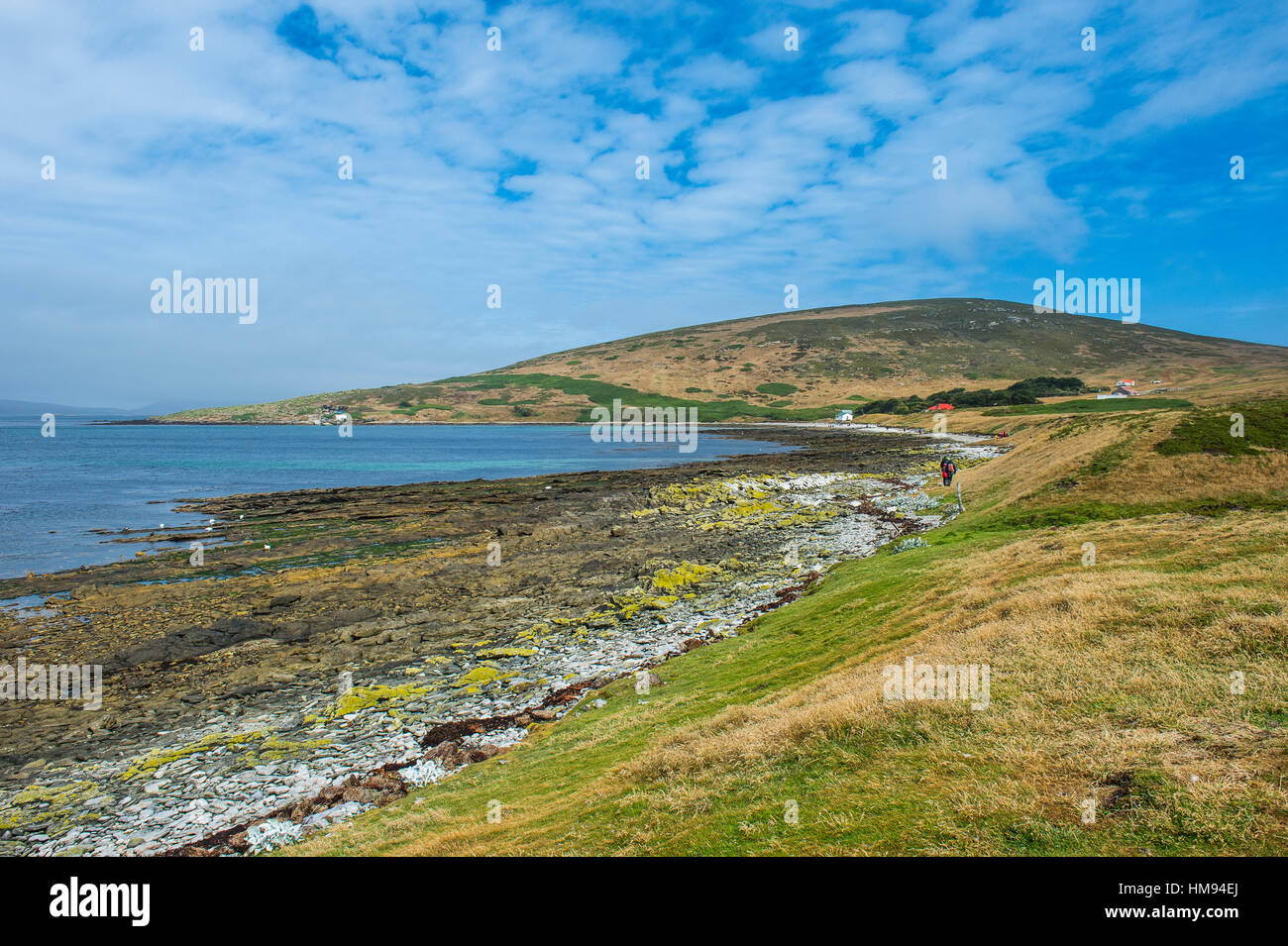 Pretty bay in Carcass Island, Falkland Islands, South America Stock Photo