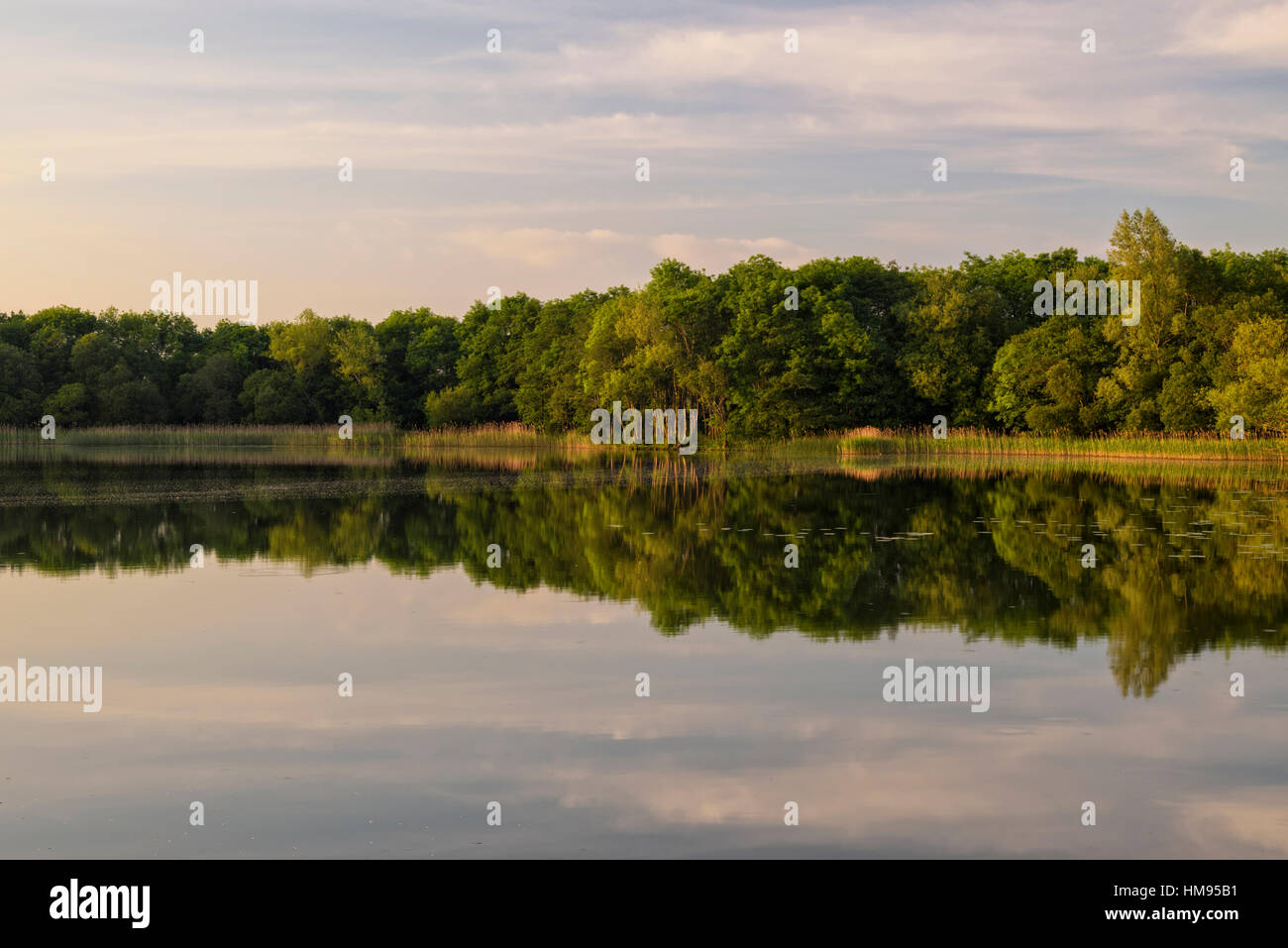 Lough Barry, Inishmore, Upper Lough Erne, County Fermanagh, Northern Ireland, United Kingdom Stock Photo