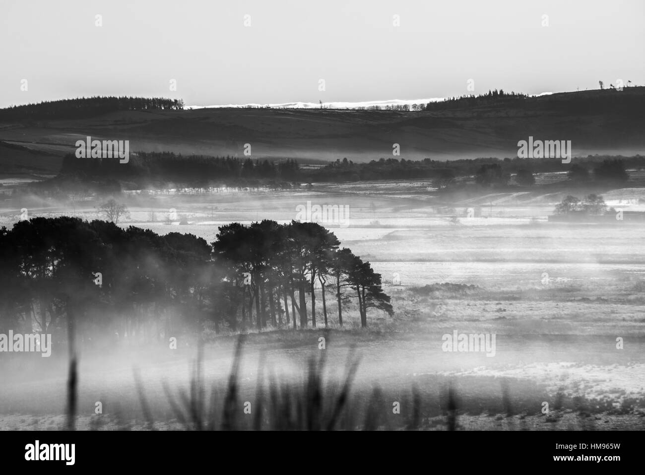 Morning fog Scottish landscape black and white with tree line, sky and hills. Stock Photo
