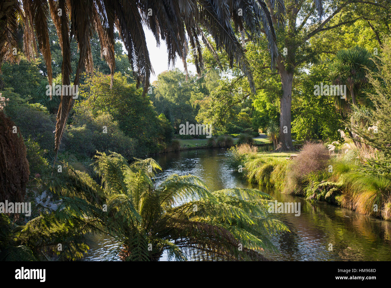 View along the palm-fringed Avon River in Christchurch Botanic Gardens, Christchurch, Canterbury, South Island, New Zealand Stock Photo