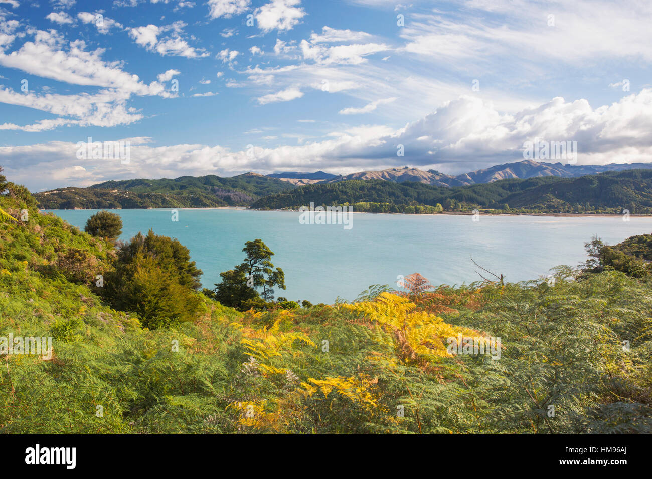 View over Sandy Bay from the Abel Tasman Coast Track, Abel Tasman National Park, near Marahau, Tasman, South Island, New Zealand Stock Photo