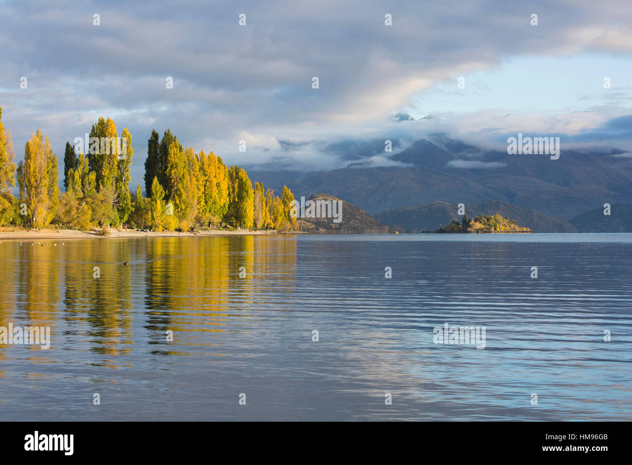 View across tranquil Lake Wanaka, autumn, Roys Bay, Wanaka, Queenstown-Lakes district, Otago, South Island, New Zealand, Pacific Stock Photo