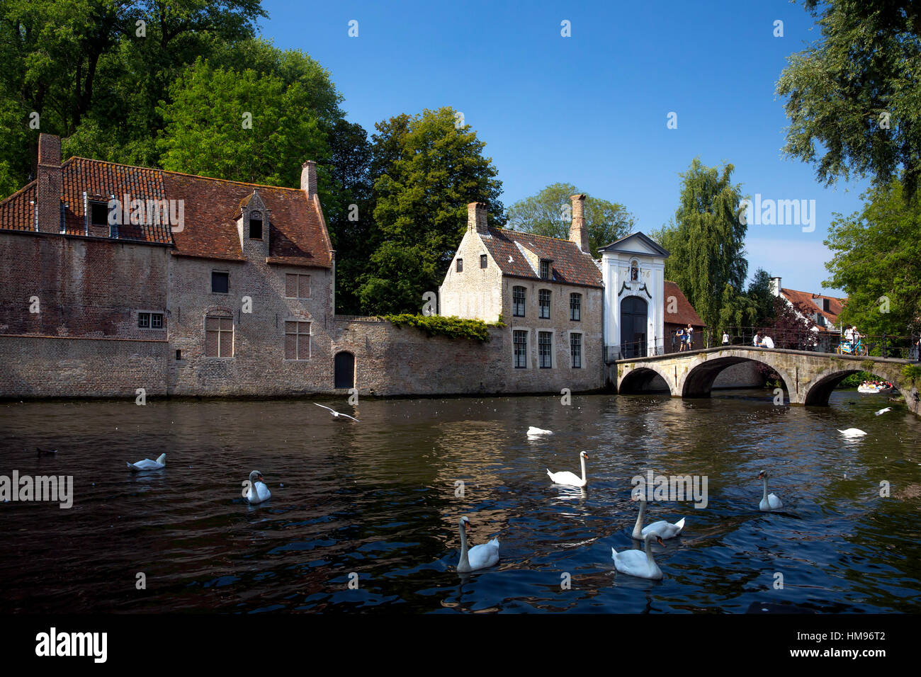 Mute swans (Cygnus olor), at the Minnewater Lake and Begijnhof Bridge with entrance to Beguinage, Bruges, Belgium Stock Photo