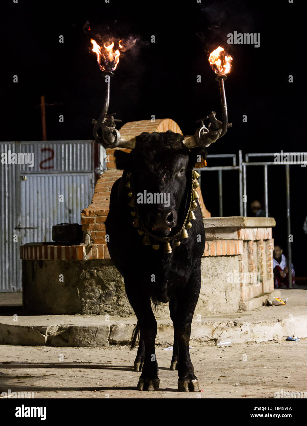 'Toro embolado' festival of little village of Novaliches.  Castellon, Spain  08/10/2016 Stock Photo