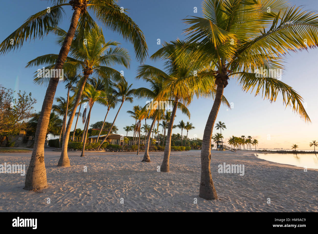 SAND BEACH RED FISH GRILL RESTAURANT MATHESON HAMMOCK COUNTY PARK MIAMI