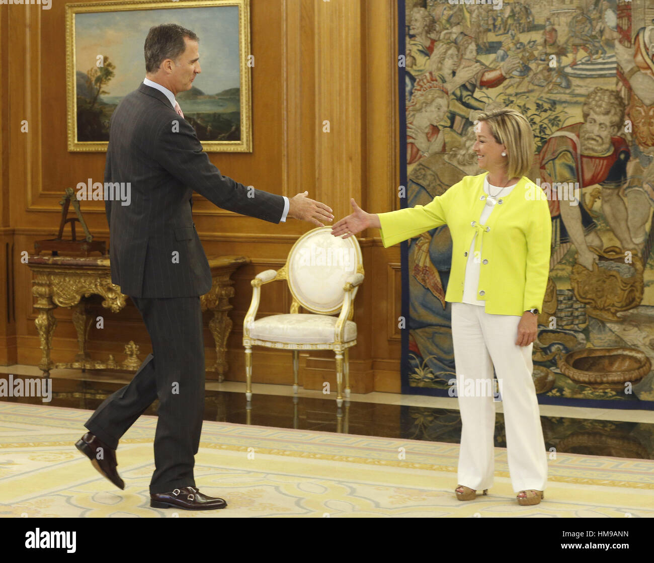 Spanish King Felipe VI during an audience with politician Ana Oramas in ...