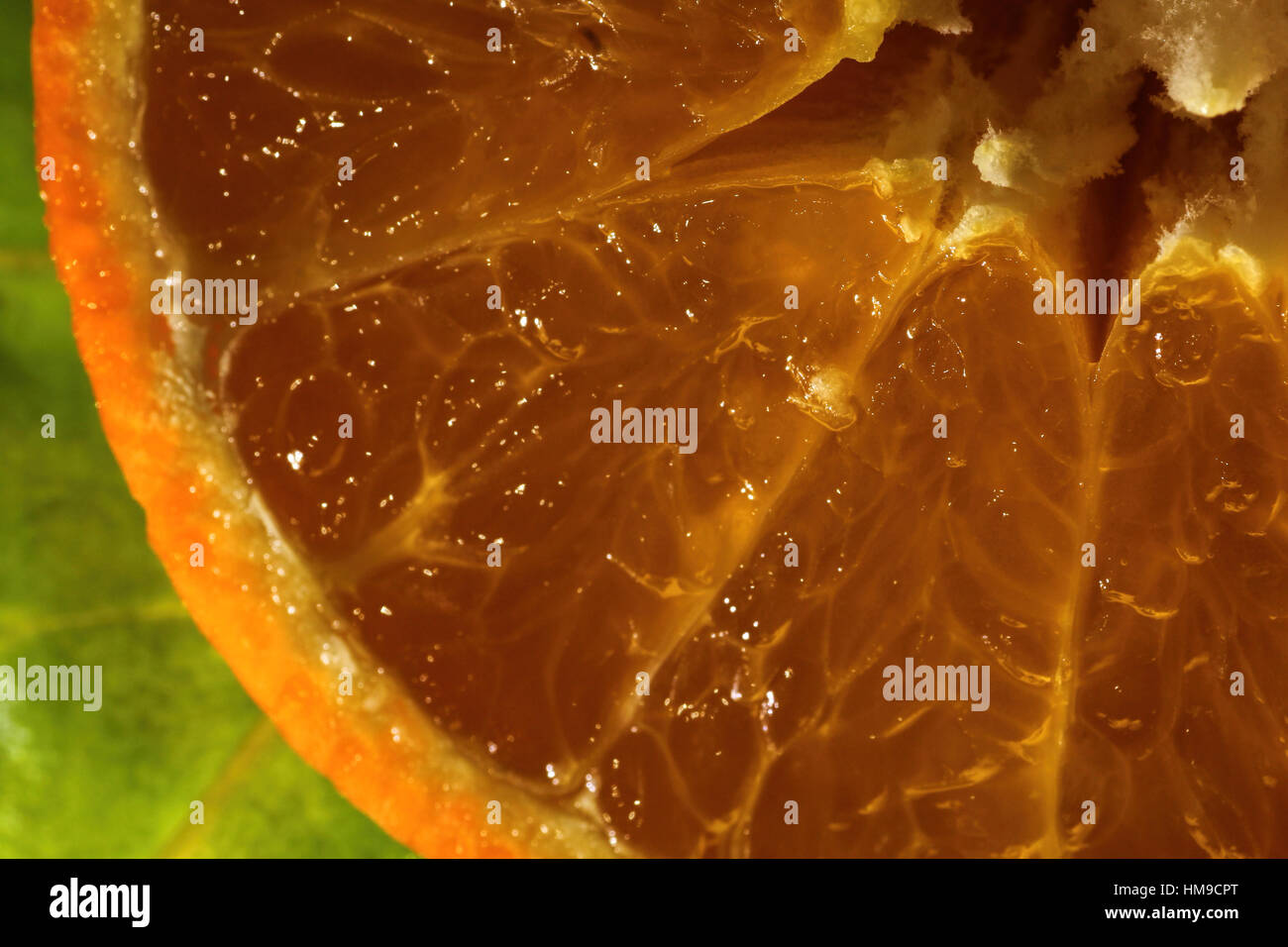 Juicy orange up close on a green background Stock Photo