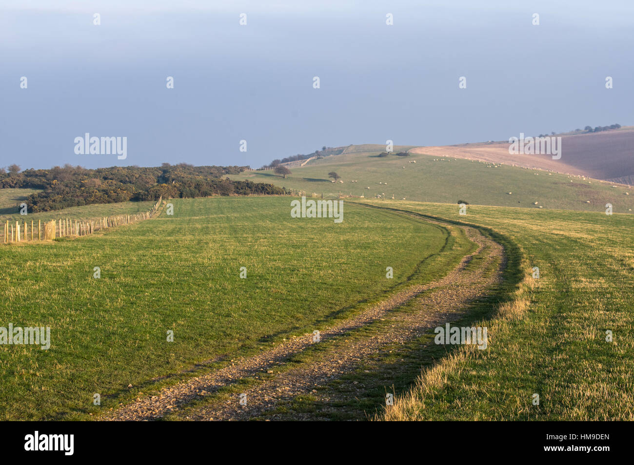 A View across the grassy downland at Ditchling Beacon looking West to East Stock Photo