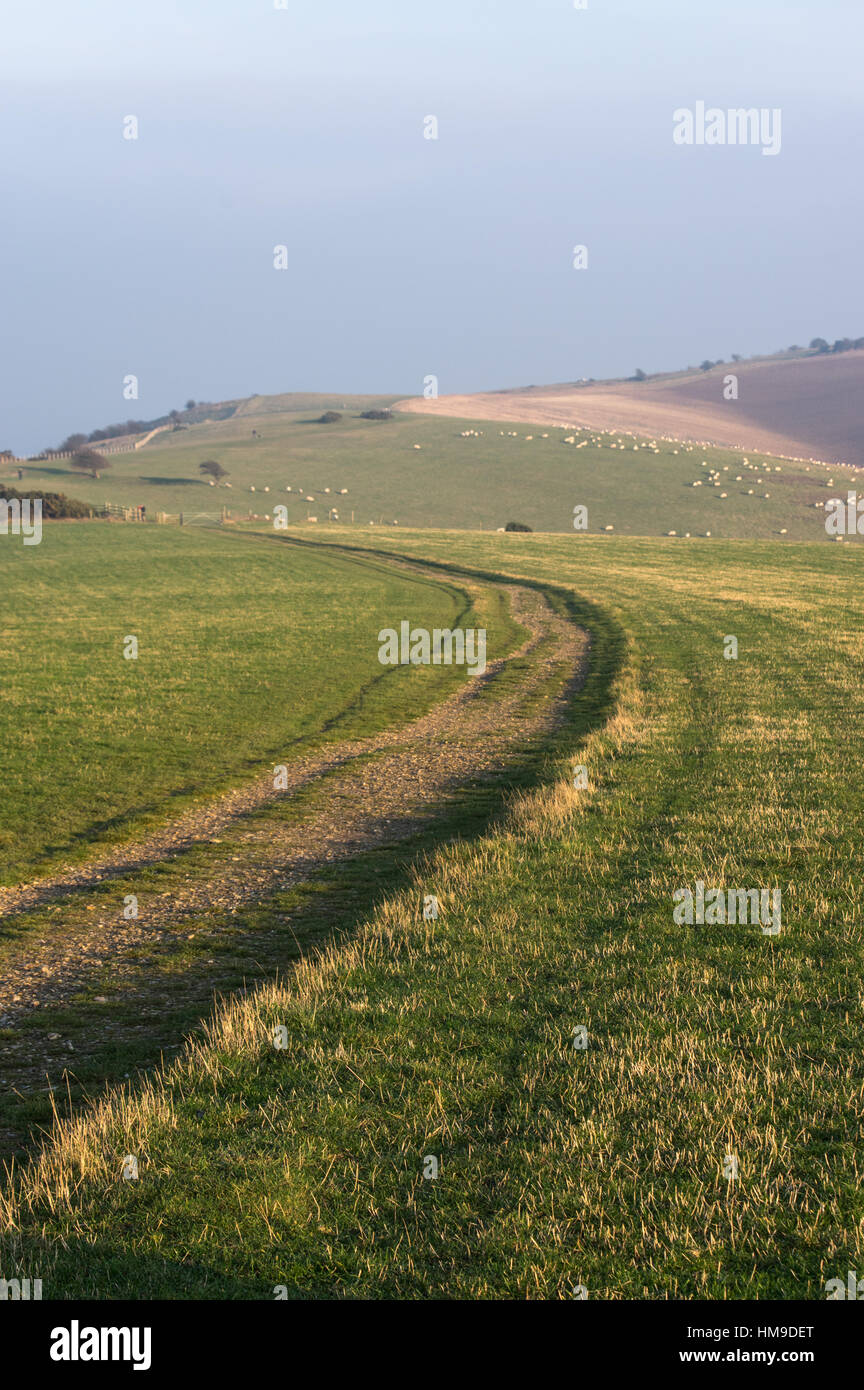 A View across the grassy downland at Ditchling Beacon looking West to East Stock Photo