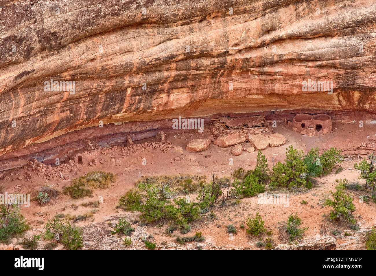 Horse collar hires stock photography and images Alamy