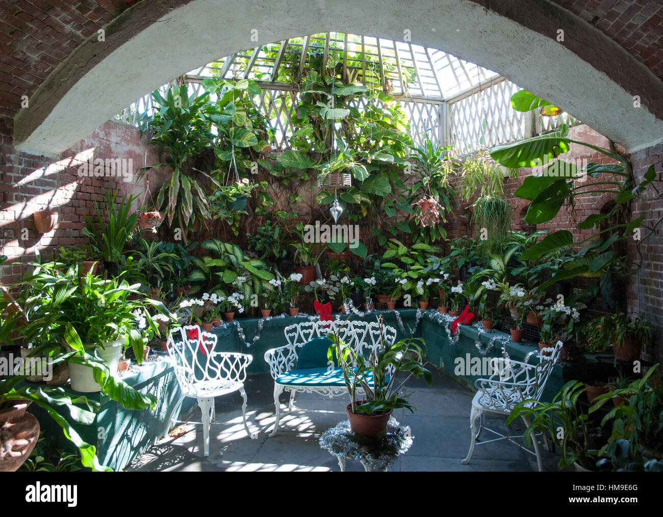 The room surrounded by tropical plants and decorated for Christmas in Key West town botanical garden (Florida). Stock Photo