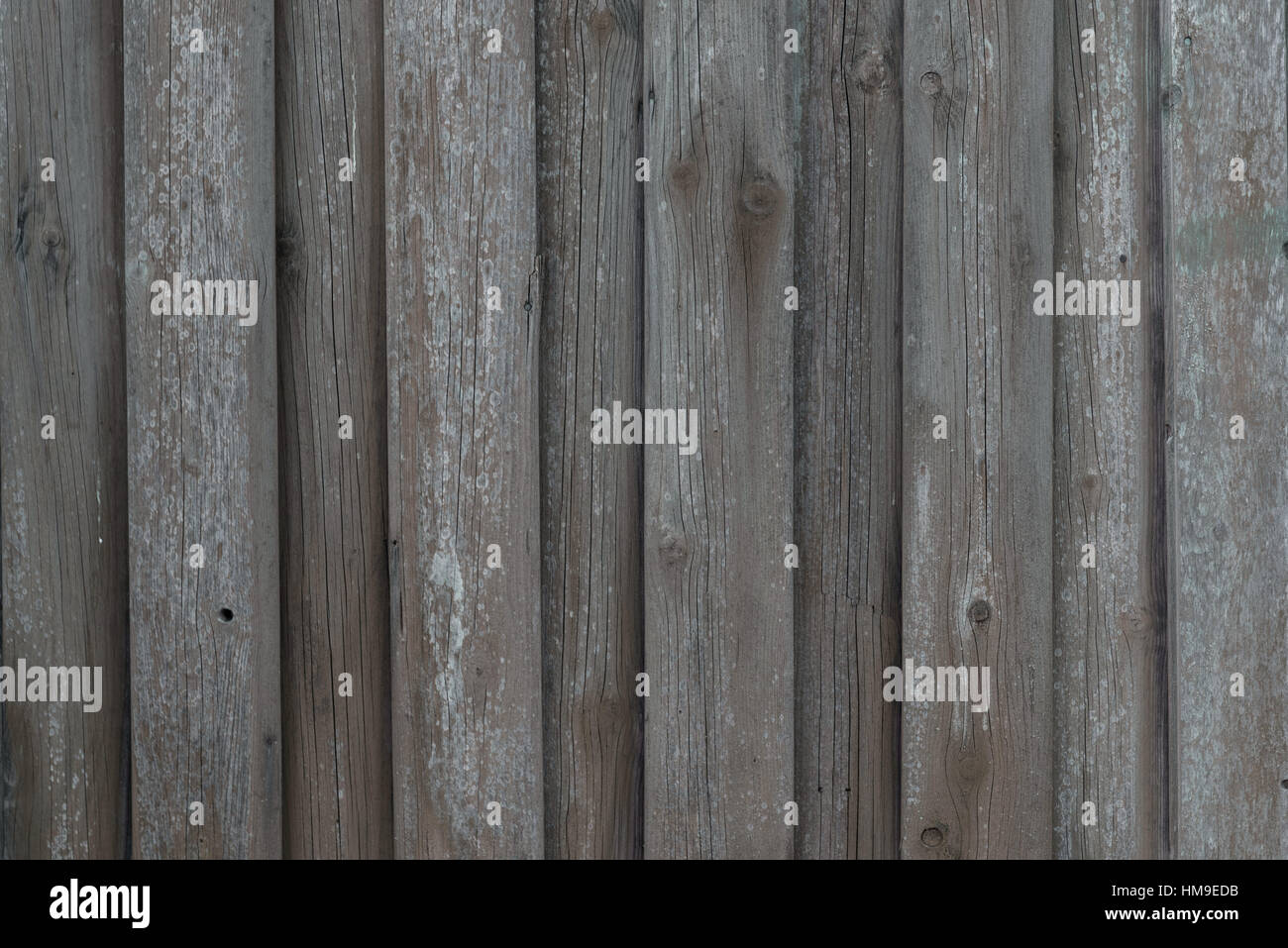 background texture vertical timber wood planks Stock Photo