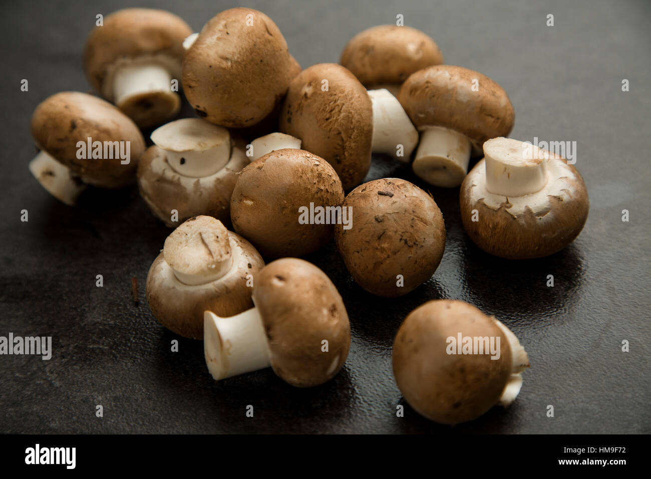 a pile of organic mushrooms on a dark surface Stock Photo