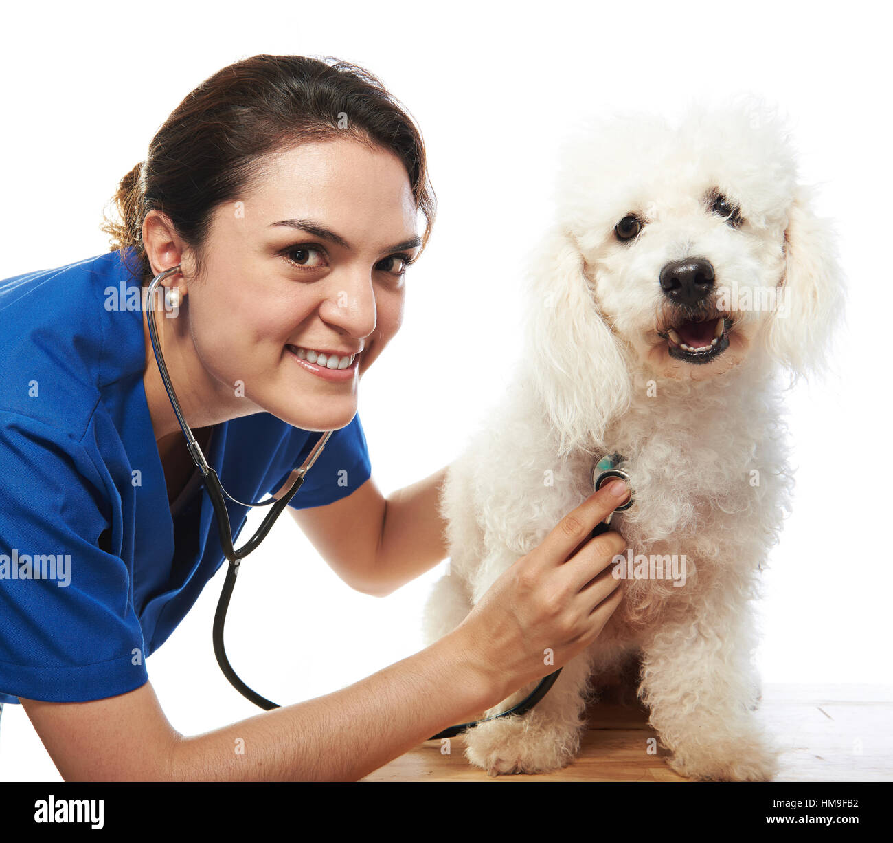 happy veterinarian and dog isolated on white background Stock Photo Alamy