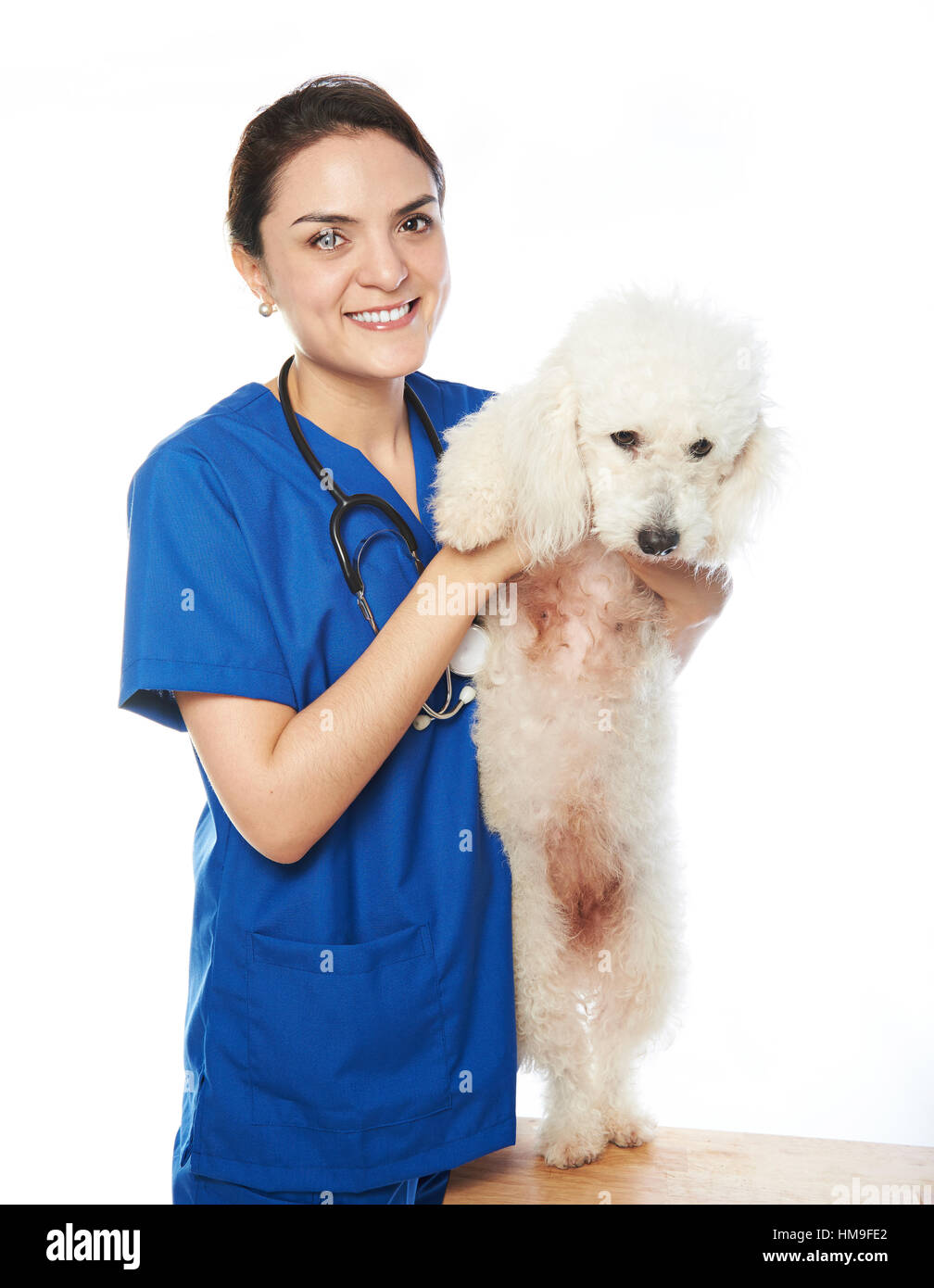 healthy dog with veterinar woman isolated on white Stock Photo